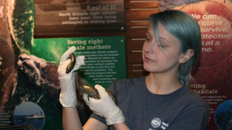 Ovo je Anna, ima 3 metra i nikada se nije spetljala s frajerom, a ipak je ostala u blaženom stanju