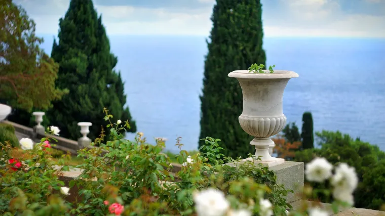 Najbolji izbor za čempres u stanu