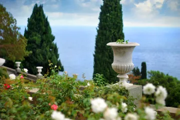 Najbolji izbor za čempres u stanu