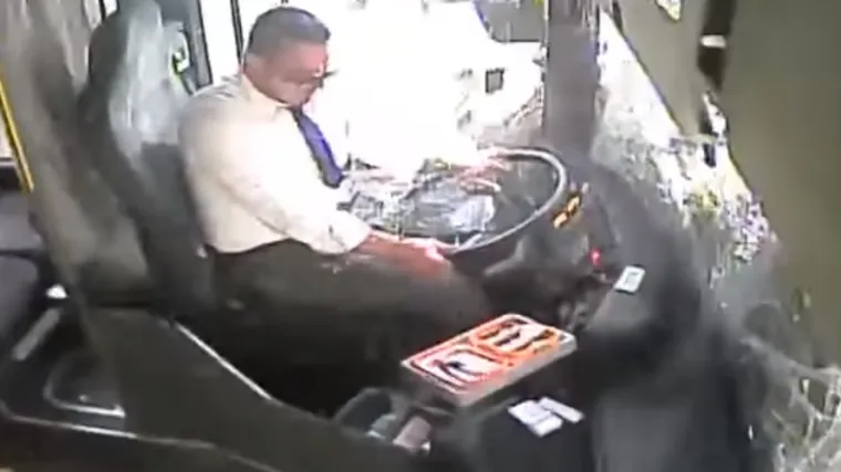 Pogledajte trenutak kada je stablo palo na autobus u vožnji kod Krila Jesenice