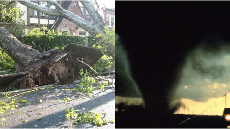 Znate li da je Hrvatsku poharao tornado? Puhao je brzinom od 260 km na sat i i&scaron;čupao 150.000 stabala