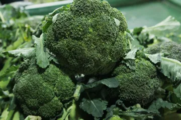 Kako se uzgajaju presadnice brokule?