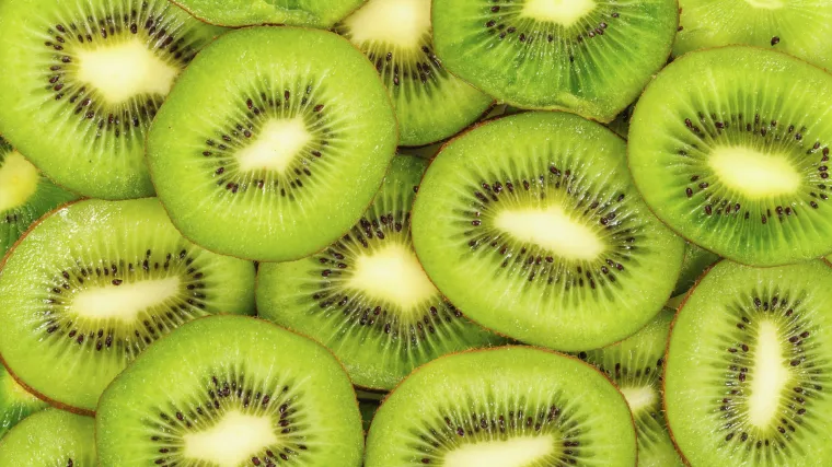 Razmnožavanje kivija: Kako se razmnožava kivi?