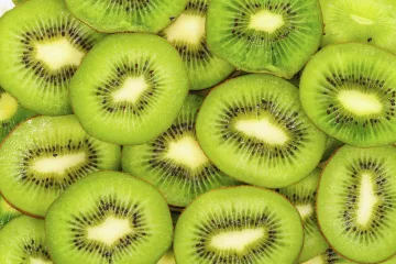 Razmnožavanje kivija: Kako se razmnožava kivi?