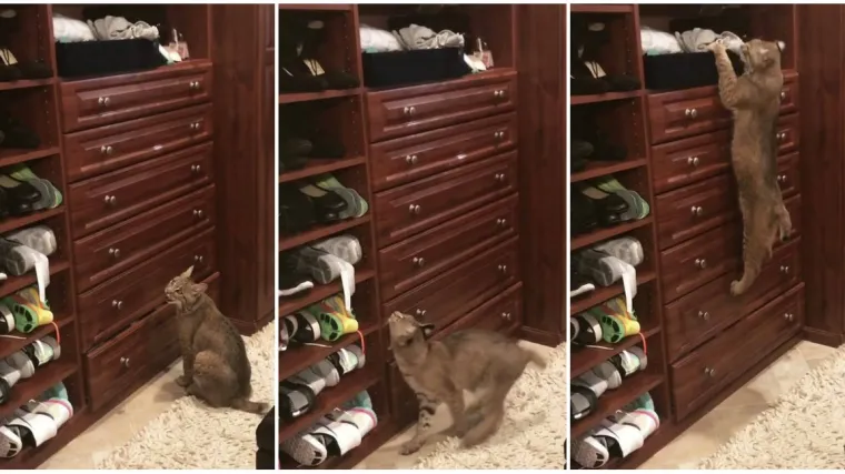 'Ba&scaron; je pravi mrgud, napravio mi je kaos u kući, i cijelo vrijeme sikće'