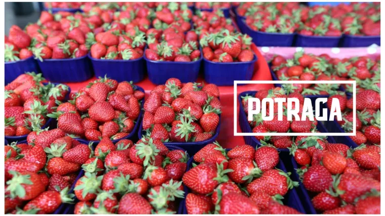 Pesticidi i tablete u jagodama: Odnijeli smo ih na analizu - Evo &scaron;to kažu rezultati