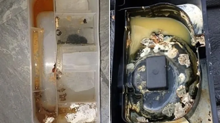 Pripremite želudac, čeka vas ovakav prizor u skrovitom dijelu hladnjaka