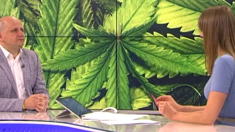 Progresivni HDZ-ovac najavio u Direktu: 'Prvu sadnju konoplje očekujemo početkom iduće godine'