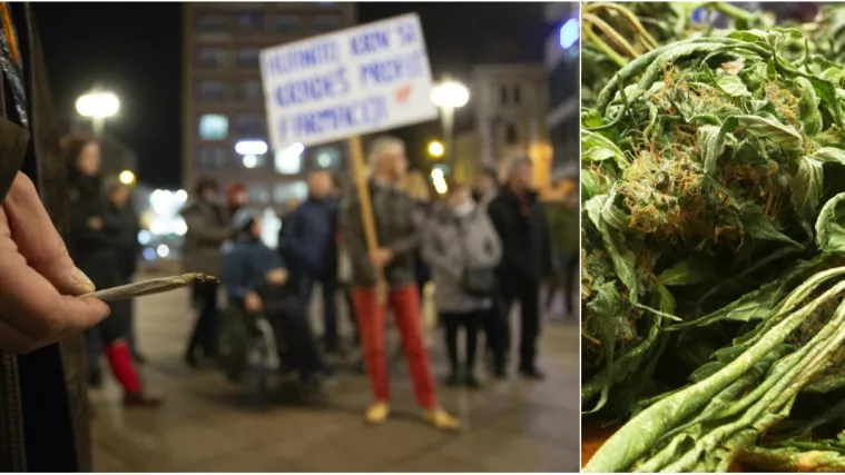 Povijesni potez! Hrvatska mijenja 'mentalni sklop', uskoro moguć legalni uzgoj marihuane