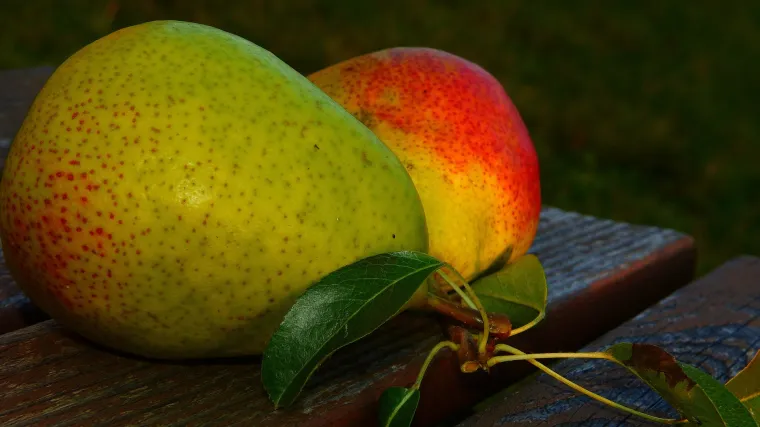 Što spada u bijelo voće i koje su blagodati koje bijelo voće nosi