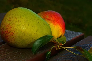Što spada u bijelo voće i koje su blagodati koje bijelo voće nosi