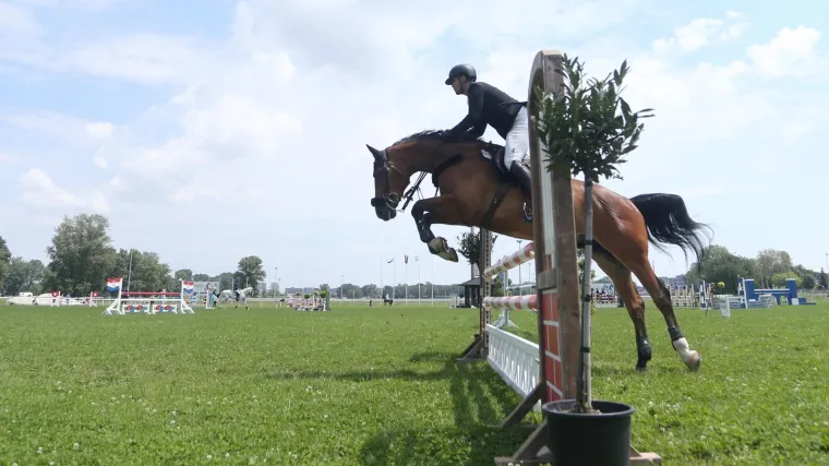 Gdje će konji nakon zatvaranja hipodroma? 'Želimo ne&scaron;to gdje će svatko imati pristup ovom sportu'