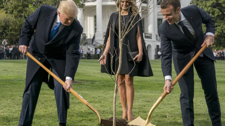 Nije izdržalo: Osu&scaron;ilo se drvo prijateljstva koje su posadili Macron i Trump