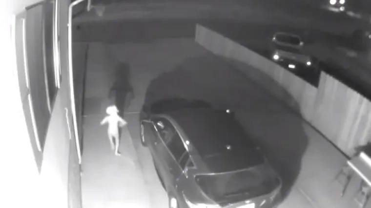 Snimka od 11 milijuna pregleda: Dobby iz Harryja Pottera stvarno postoji!?