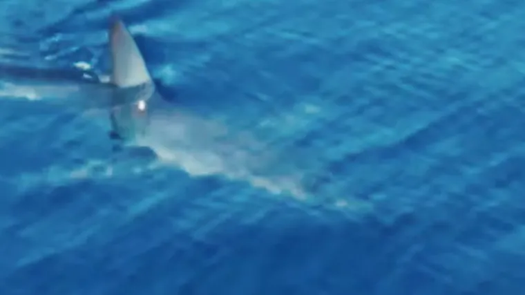 'Nemojte paničariti'