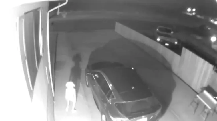 'Prvo sam vidjela sjenu od vrata, a onda se ukazalo ovo...'