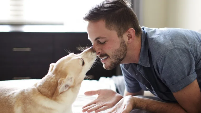 Provokativno istraživanje: Pas vam je nervozan? Možda biste i vi trebali smiriti živce