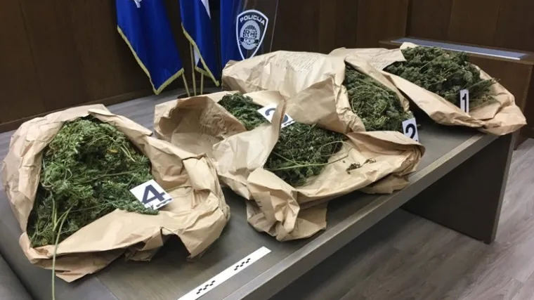 'PAO' DILER S PODRUČJA IMOTSKOG: Imao je kod sebe 2,5 kilograma marihuane. Sada je iza re&scaron;etaka