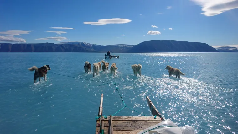Nažalost, istina je puno, puno, tragičnija...