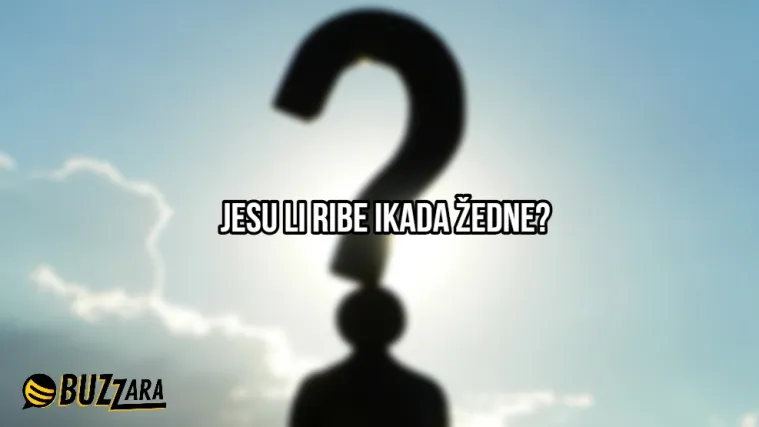 'S koliko godina mi naraste kondom?': 25 najglupljih pitanja ikada postavljenih na internet