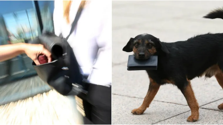 Najnovije istraživanje otkriva koje su nacije najpoštenije: Istražili smo što o tome misle Hrvati!