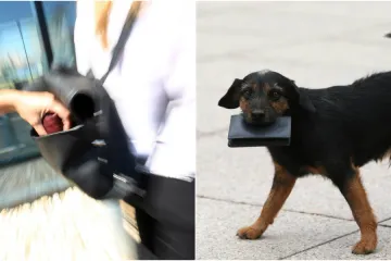 Najnovije istraživanje otkriva koje su nacije najpoštenije: Istražili smo što o tome misle Hrvati!