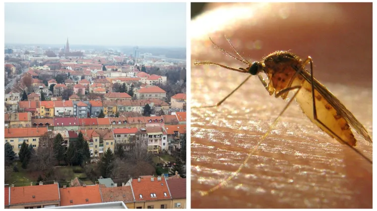 Tretiranje komaraca iz zraka u Osječko-baranjskoj županiji počinje u srijedu!