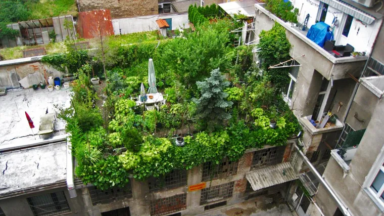 Umjesto kičastih grbova i metastaze fontana: Doživite Zagreb kroz mistične 'antirazglednice'