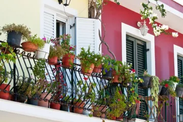 Koje je idealno cvijeće za sunčani balkon?