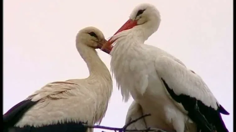 Malena i Klepetan HIT su diljem svijeta: O njima sada pi&scaron;e jo&scaron; jedan poznati američki portal