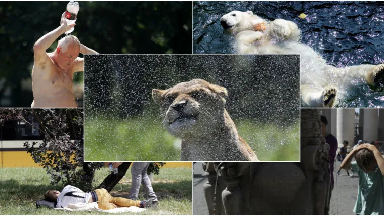 'Najgore tek dolazi': Europu zahvatio toplinski val, zatvaraju se &scaron;kole, zabranjen transport životinja...