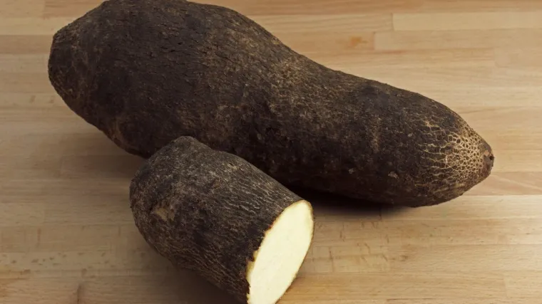 Jam biljka: Kojim je vitaminima i mineralima bogata?