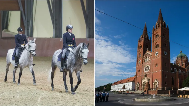 Turisti imaju za&scaron;to posjetiti Slavoniju: Uz odmor u prirodi, nudi se i jahanje lipicanaca