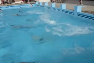 Skokovi na križevačkim bazenima