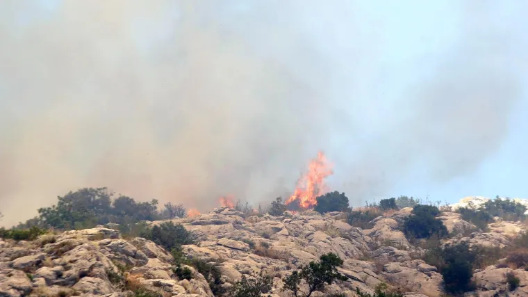 Lokaliziran požar kod Greba&scaron;tice: Vatra je zahvatila pet hektara &scaron;ume. Vatrogasci su jo&scaron; na terenu