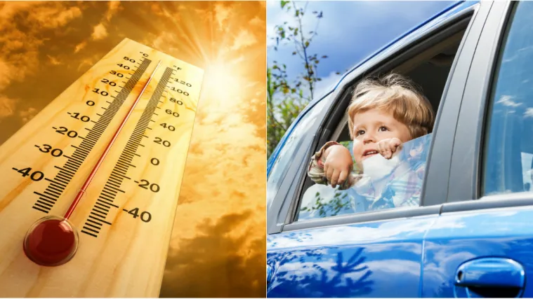 &Scaron;to se događa tijelu zatvorenom u auto na visokim temperaturama: 'Prvo zakažu bubrezi pa srce...'