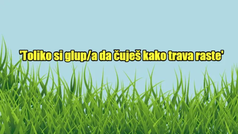 'Da ptica ima tvoj mozak, u rikverc bi letila': 15 najjačih uvreda na&scaron;ih roditelja koje i dalje pamtimo