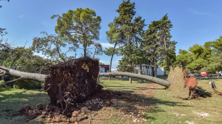Nevrijeme poharalo BiH: Mu&scaron;karac smrtno stradao, a desetak ljudi je ozlijeđeno