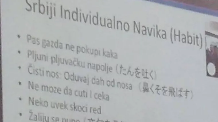 'Ne skupljaju pseći izmet, pljuju, psuju majku, Sunce, familiju...'