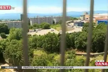 U riječkom naselju novi, neobični stanari! Interesantna životinjica svakodnevno se druži s građanima