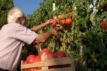 Hrvatska ima jednu od najbogatijih flora, a sada napokon ima i svoju Društvenu banku sjemena