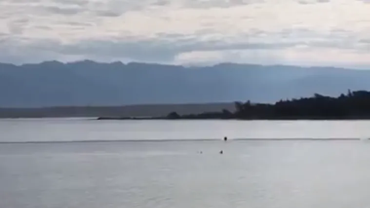 'Peraja' ušla u ograđeno područje na plaži i plivala među ljudima