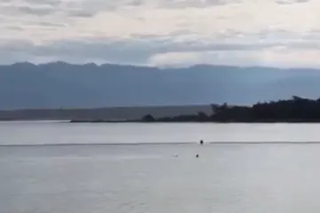 'Peraja' ušla u ograđeno područje na plaži i plivala među ljudima