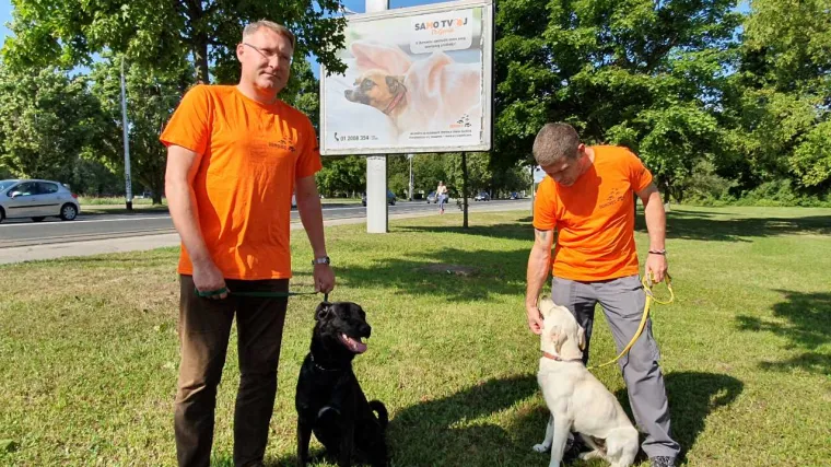 Jeste li sporta&scaron;, avanturist, miljenik ili optimist? Svatko može pronaći pravog psa za sebe