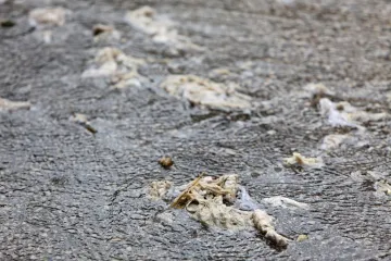'Vidjeti kuhinju i dnevni boravak kako plivaju u izmetu, stvarno je strašno'