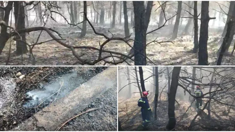 Zrće nakon vatrene apokalipse: Izgorjelo drveće, jo&scaron; ima dosta dima, a vatrogasci su na oprezu...