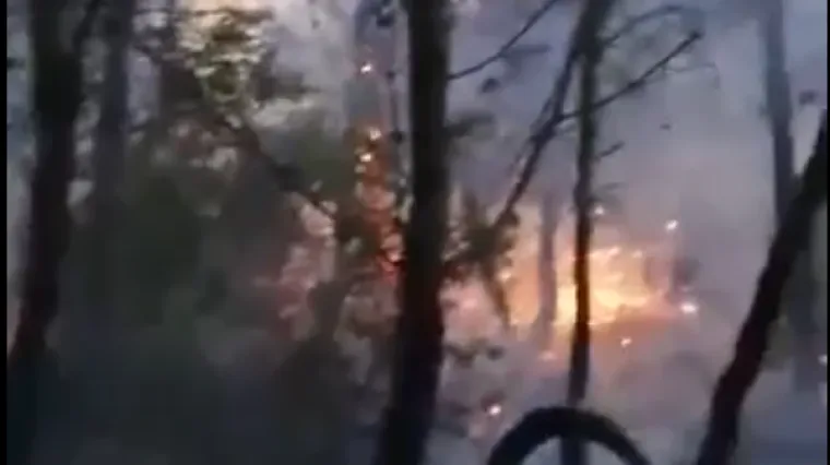 'Gasite u šumi, po mraku, ništa ne vidite. I onda iz šume izlazi čovjek...'