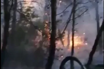 'Gasite u šumi, po mraku, ništa ne vidite. I onda iz šume izlazi čovjek...'