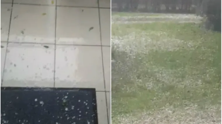 'Moglo se i lopatom kupiti. Otvori&scaron; prozor i dobije&scaron; u glavu!'