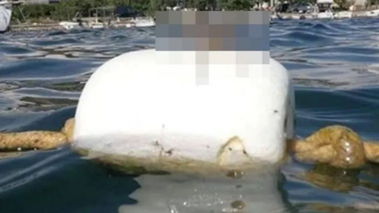 Nakon Mokyja, uhvaćeno 'čudovi&scaron;te' na bovi kod Trogira: 'Od ovog ni Gospa ne spa&scaron;ava'